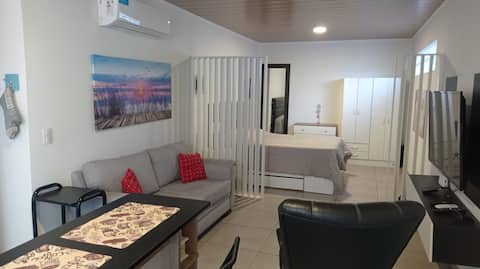 Successful Airbnb property: Spacious Studio in Saavedra in Saavedra