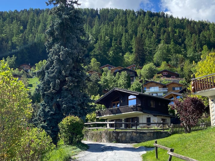 Charmant Chalet Avec Vue Imprenable - Veysonnaz