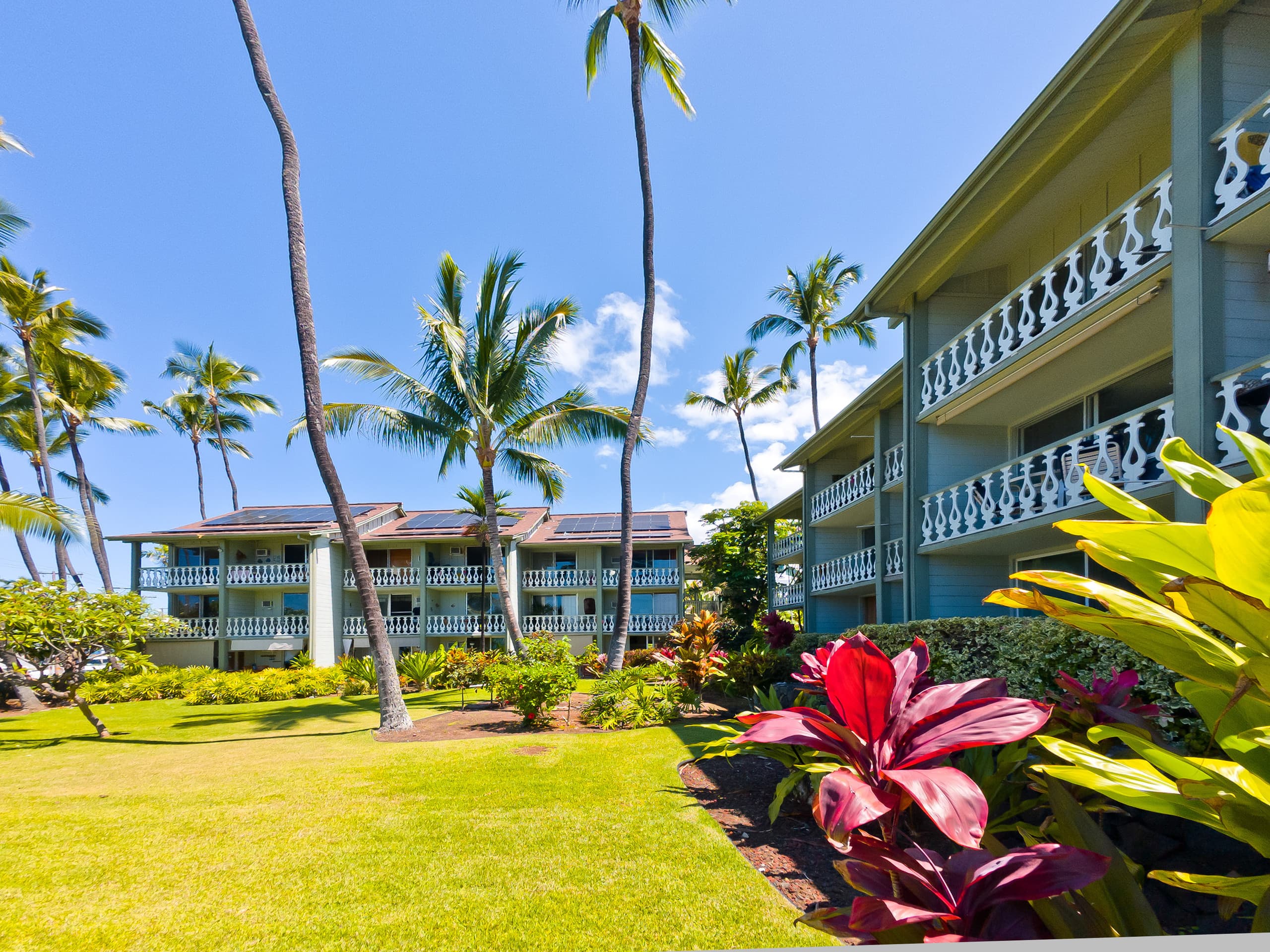 Condo in Kailua-Kona · ★5.0 · Studio · 1 bed · 1 bath - Image 40