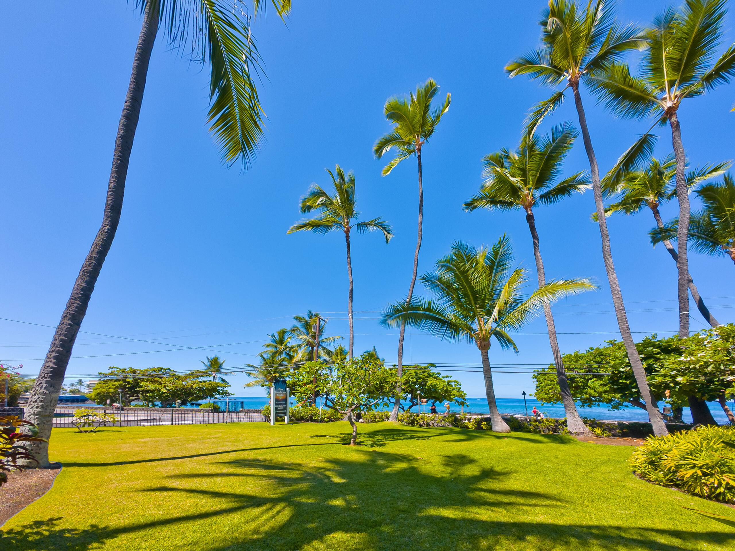 Condo in Kailua-Kona · ★5.0 · Studio · 1 bed · 1 bath - Image 41