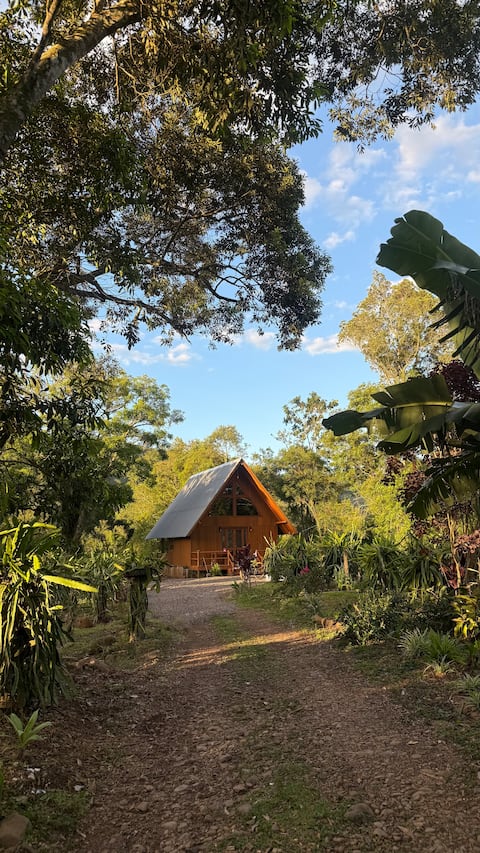 Top Airbnb: Sunflower Cabin in Porto Alegre