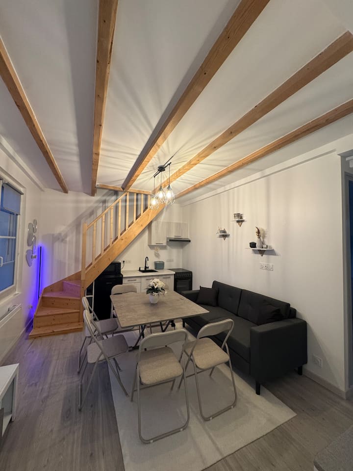 T3 Bellevue Duplex Poitiers - Poitiers