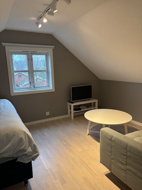 Popular Airbnb listing: Attic apartment in villa with rooftop terrace in Søndre Nordstrand