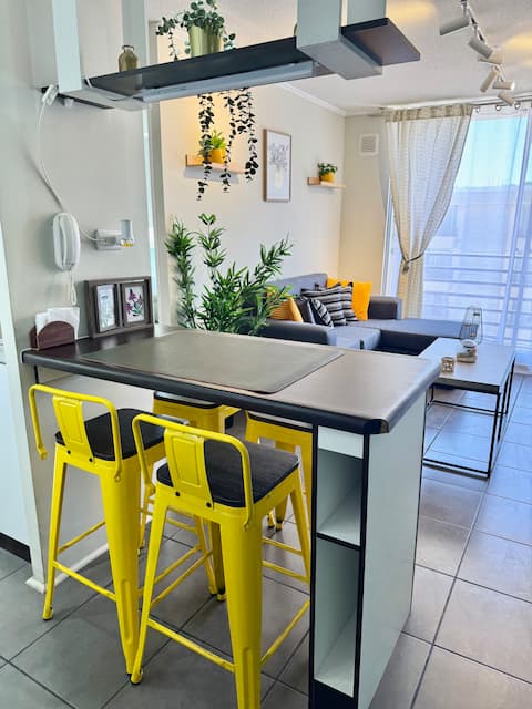 Bright Studio for 3 people in Ovalle