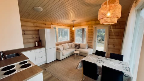 Successful Airbnb property: Villa Northscape — Lake View to the Northern Sky in Inari