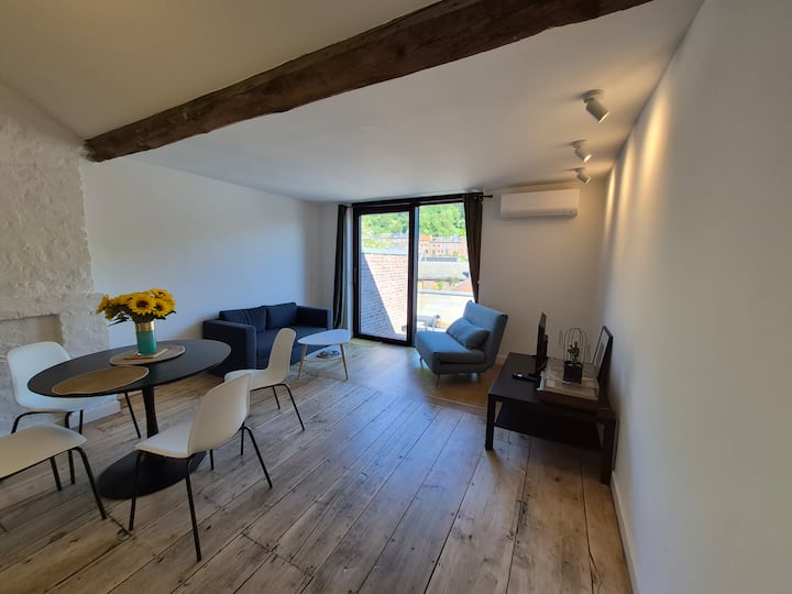 Logement Lumineux Avec Terrasse Proche Du Centre - Liège
