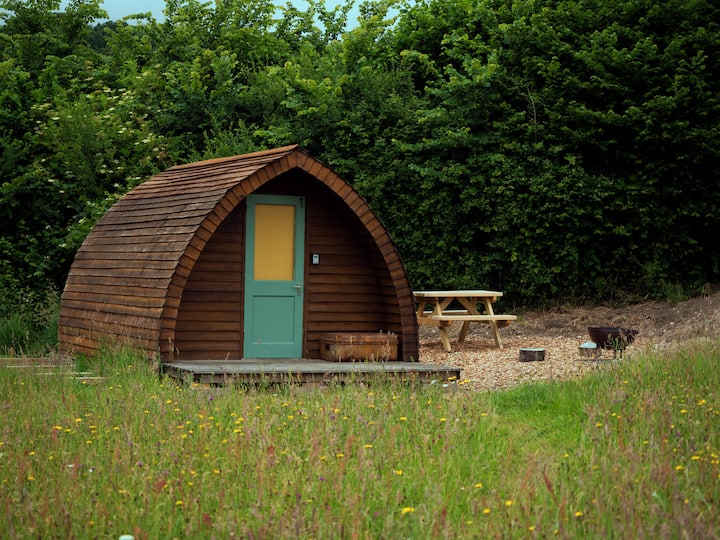 Daisy | Family Pod - Lyme Regis