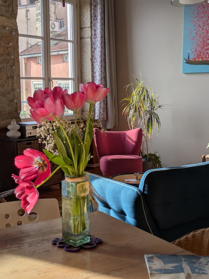 Chambre+ Salle De Bain Privatives Chez L'habitant. - Lyon