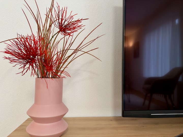 Moderne Wohnung Mit Bodenseeblick - Saint-Gall