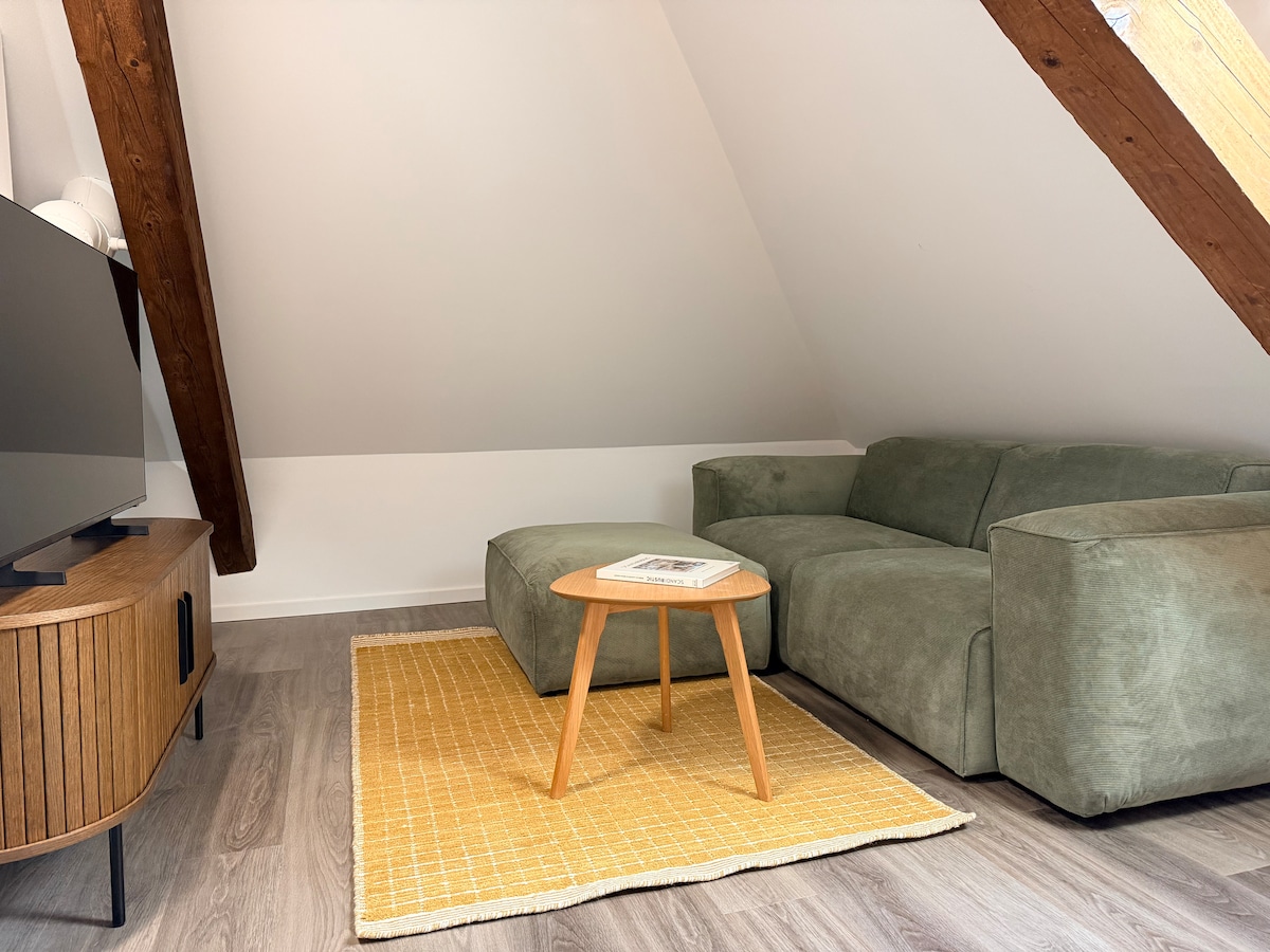 Top Airbnb: Bird Suite · Cozy attic apartment in Wipkingen in Wipkingen