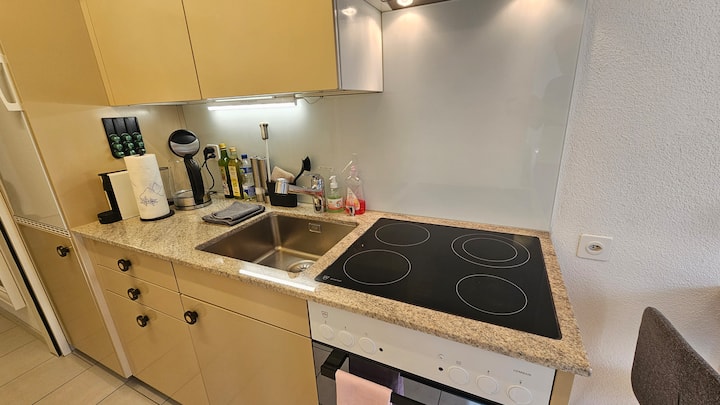 Pilatus View Premium Apartment - Emmen