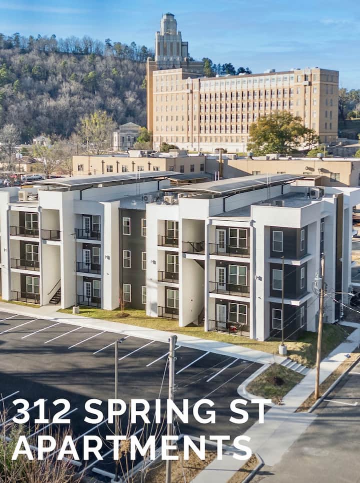 Modern Suite 102 Near Convention Center & Downtown - Hot Springs, AR