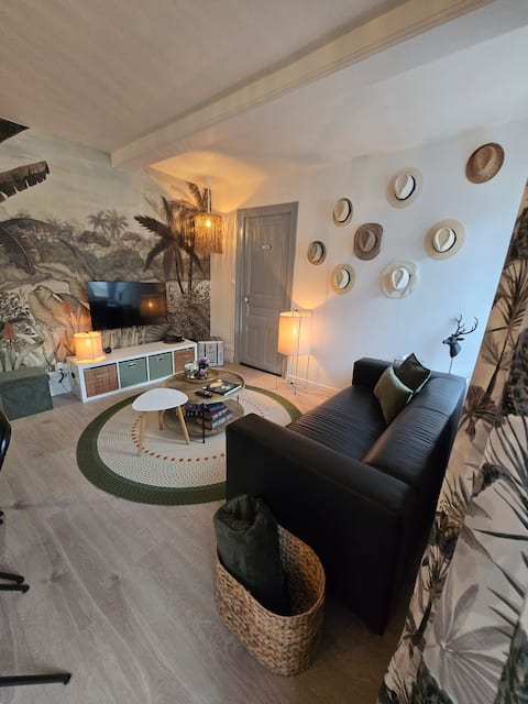 Top Airbnb: Right in the city center. Parking at 50 meters. in Chalon Sur Saône