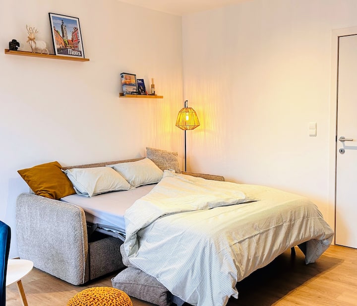 T2 Mons Centre - Fibre Pro Et Lit King Size - Mons