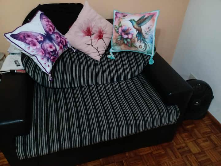 Studio apartment in Constitución