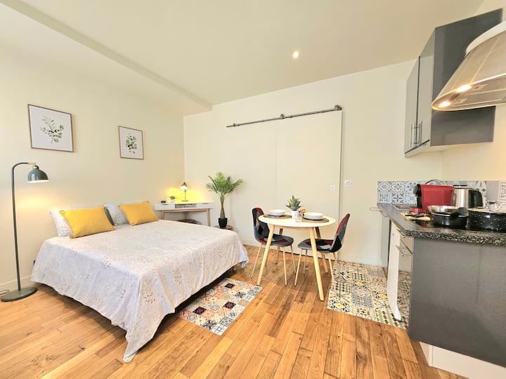 Studio Fibre Ultra-rapide (433mb/s)  Paris 15 Min - Montreuil