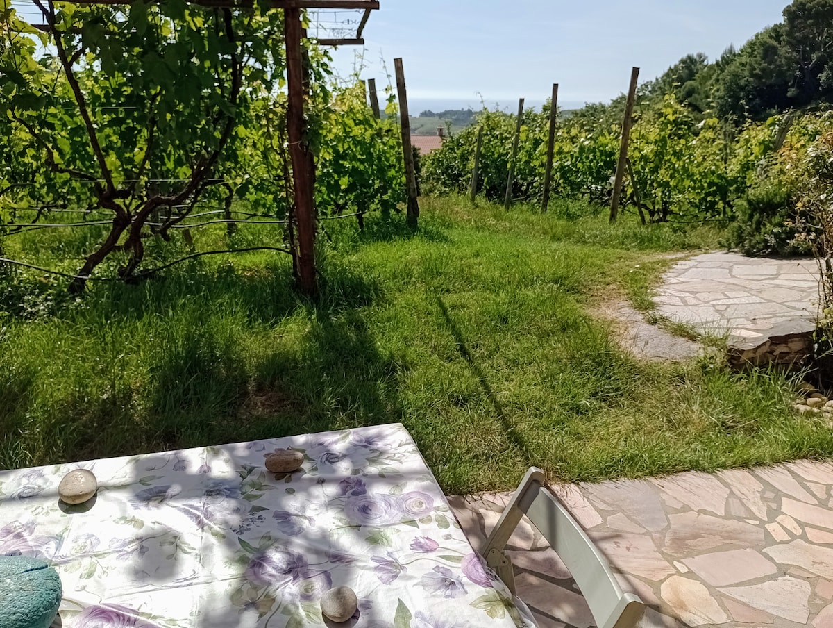 A peaceful outdoor dining area is set against a backdrop of green vineyards. A table draped with a floral tablecloth is positioned on a stone patio, highlighting an expansive grassy area leading towards the vineyard and distant views of the coastline.