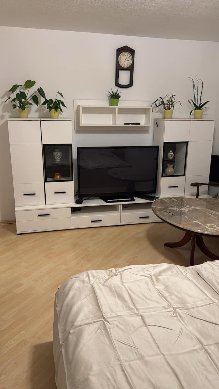Holiday Appartment - Trier
