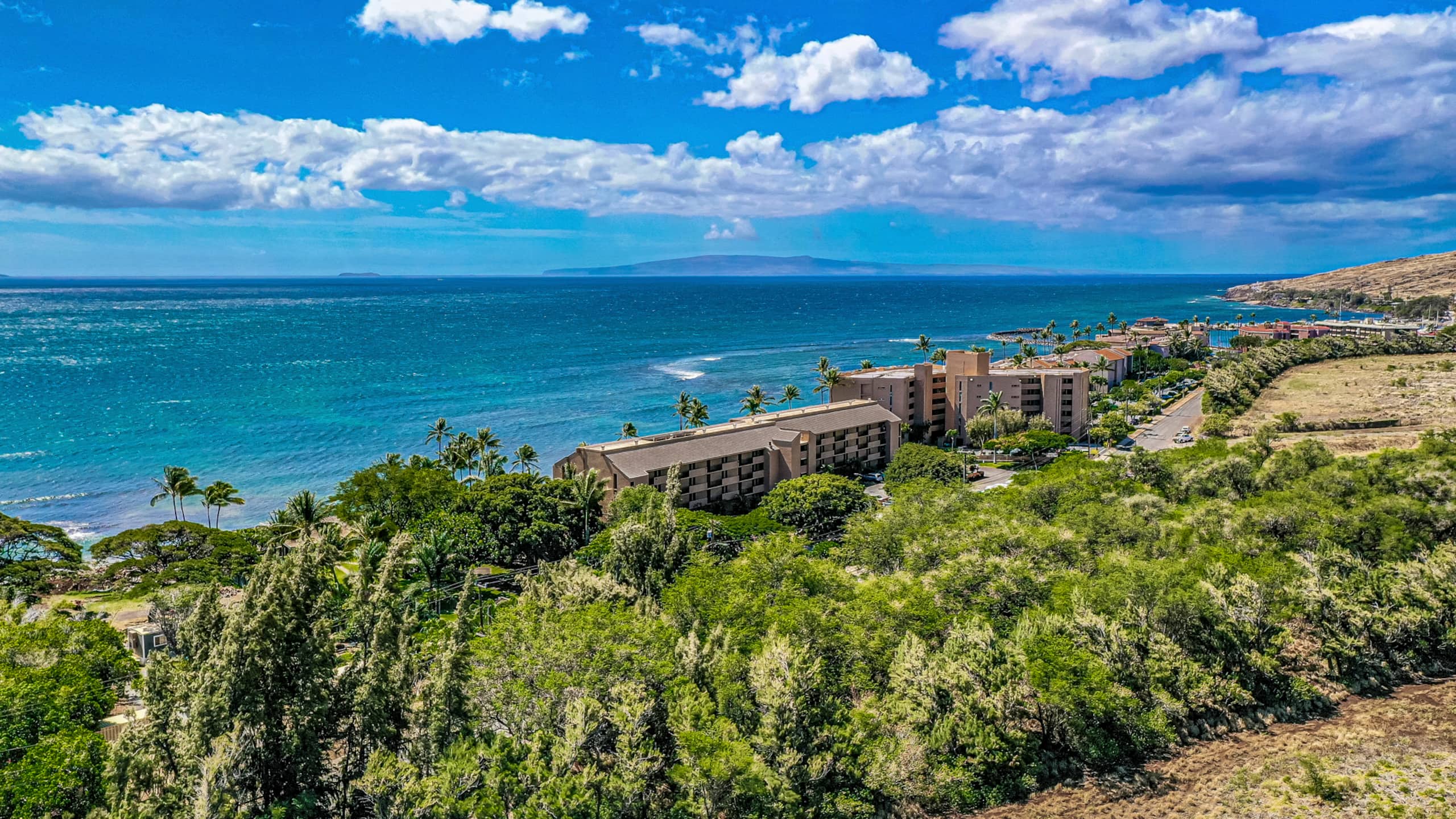 Condo in Wailuku · ★5.0 · 1 bedroom · 1 bed · 1 bath - Image 33