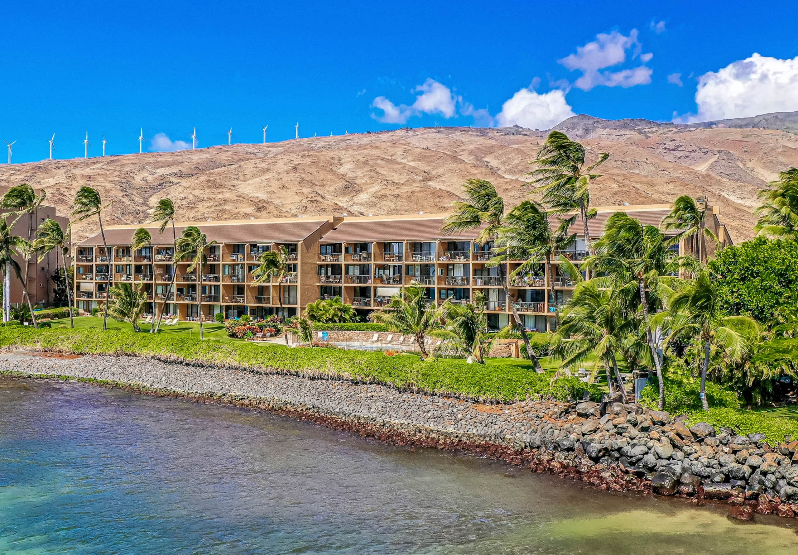 Condo in Wailuku · ★5.0 · 1 bedroom · 1 bed · 1 bath - Image 36