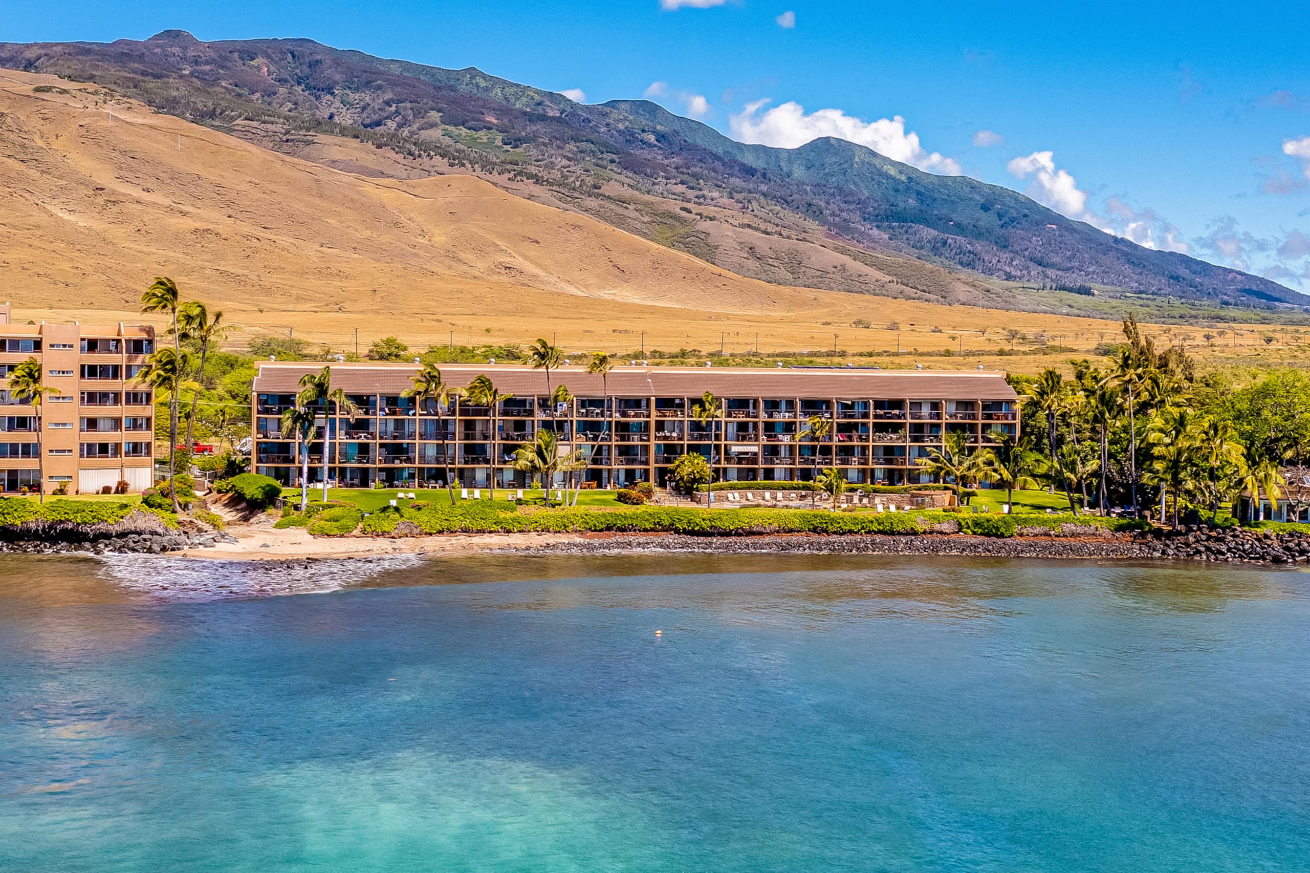 Condo in Wailuku · ★5.0 · 1 bedroom · 1 bed · 1 bath - Image 31