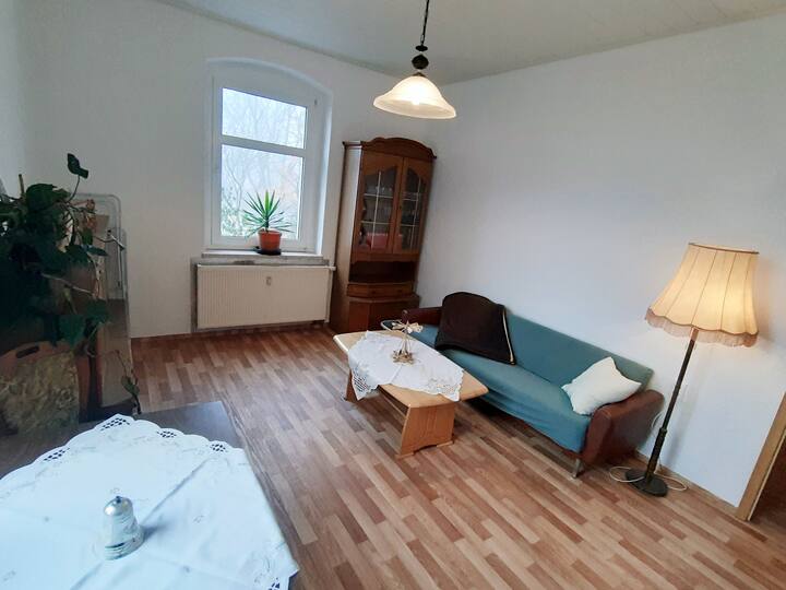 Gemütliche Wohnung In Zwickau - Zwickau