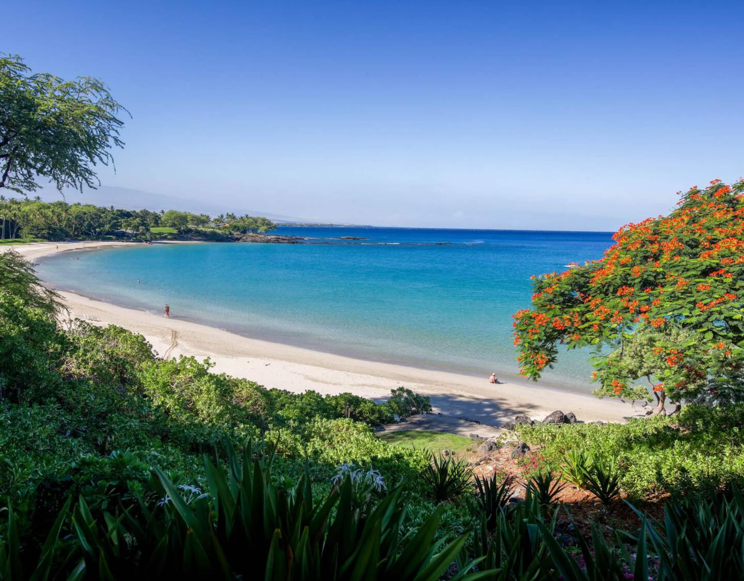Home in Waimea · ★5.0 · 3 bedrooms · 4 beds · 3 private baths - Image 56