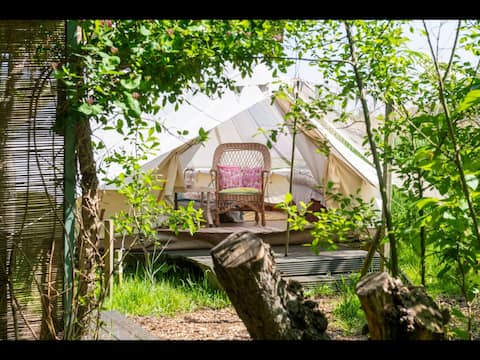 Popular Airbnb listing: Secluded Glamping in Suffolk, bell tent Reedbed in East Suffolk