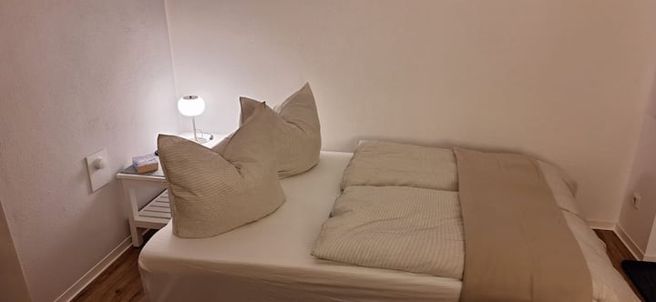Séjour et chambre à coucher combinés.