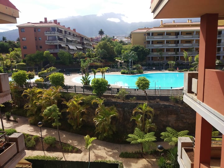 Gavilán - Tenerife