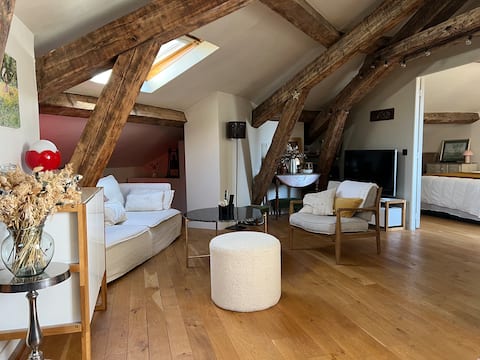Successful Airbnb property: Super-center cozy nest in Dijon