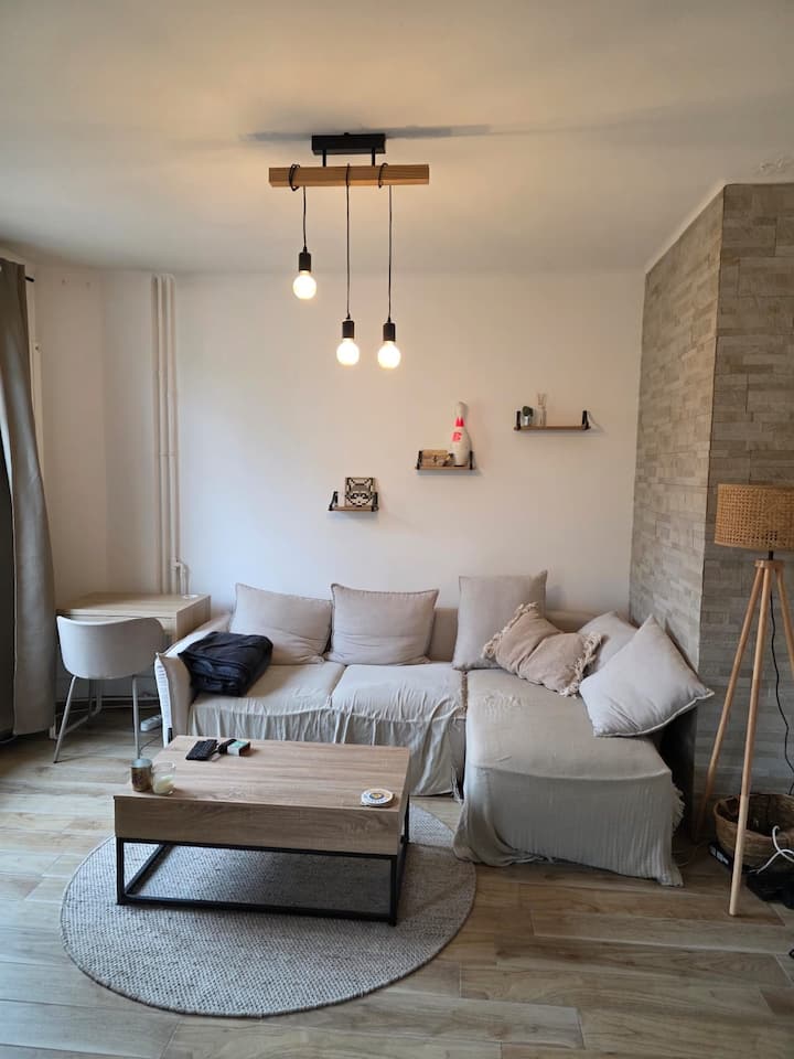 Superbe 2 Pièces, Proche Centre-ville - ibis budget Issy Les Moulineaux Paris Ouest
