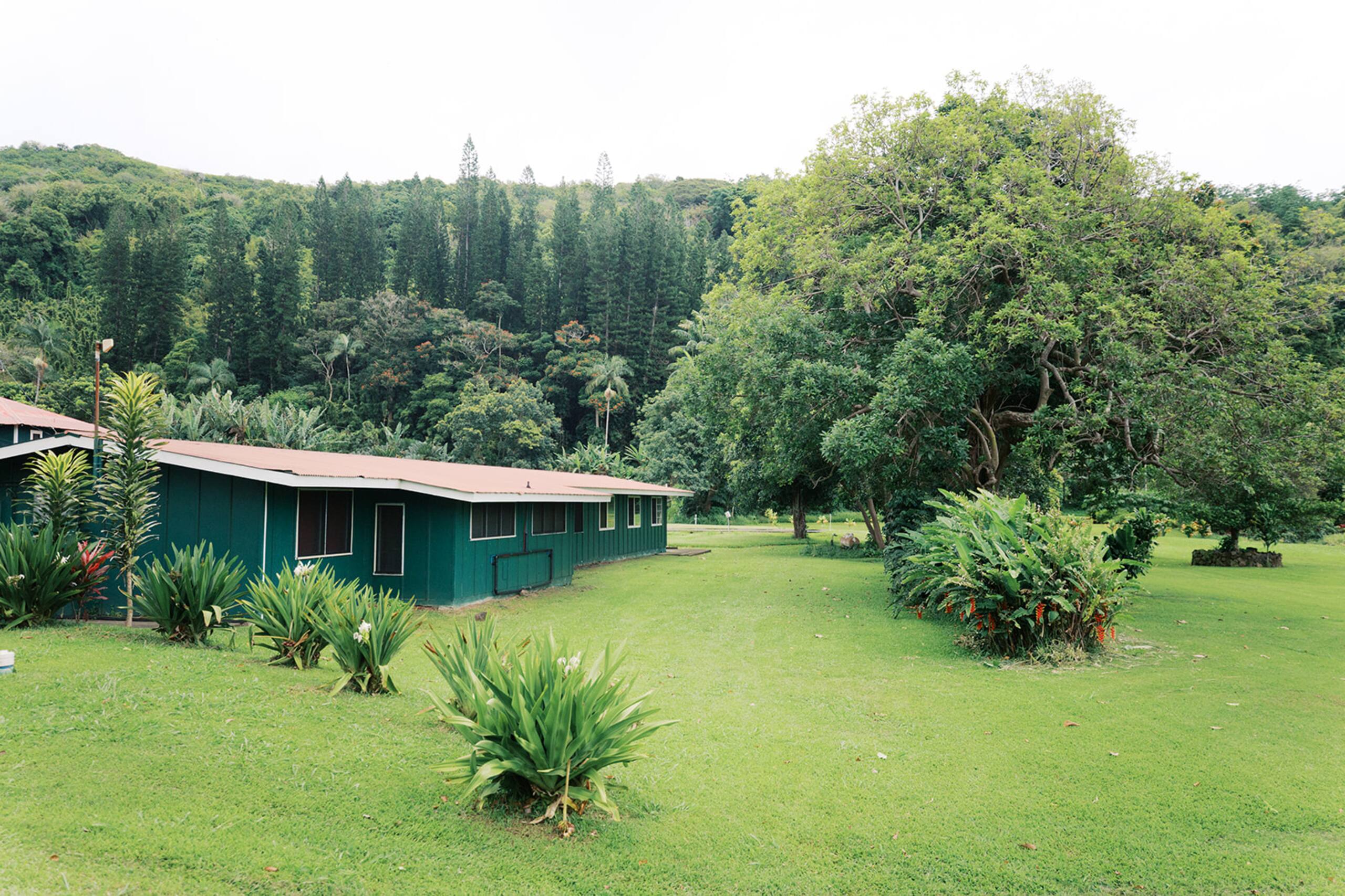 Hotel in Naalehu · ★5.0 · 5 bedrooms · 1 bed · 1 private bath - Image 9