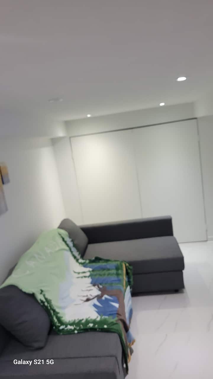 Private Lower Unit! 10 Minute Drive To Yyz Airport - Mississauga