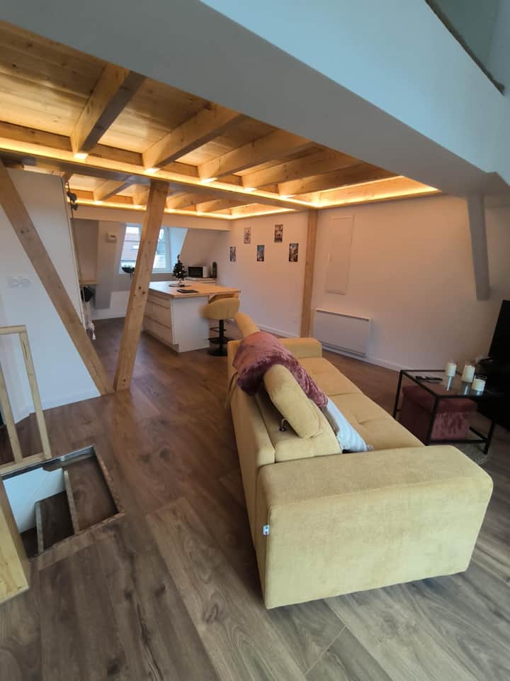 Cocon Cosy Et Chaleureux Au Charme Unique - Haguenau