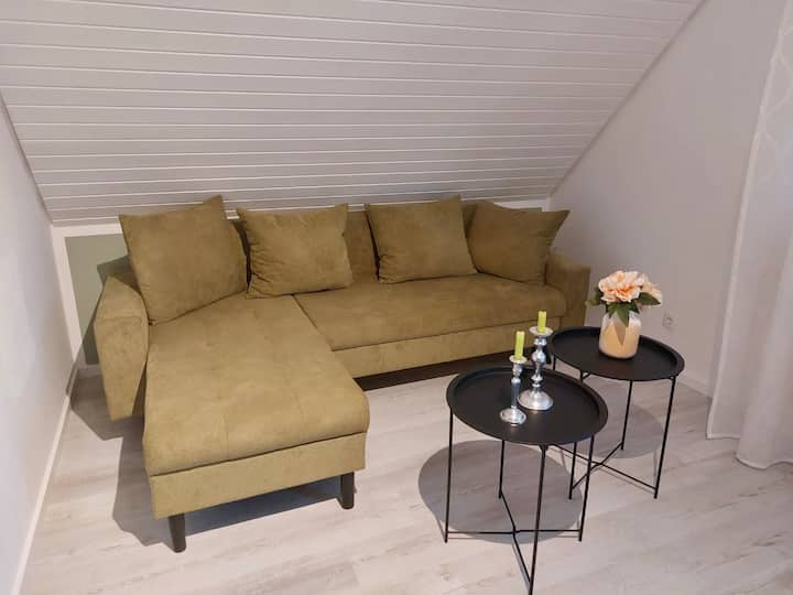 Lene's Guesthouse - La Wantzenau