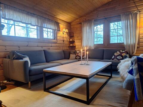Top Airbnb: Cozy family cabin Hovden in Bykle