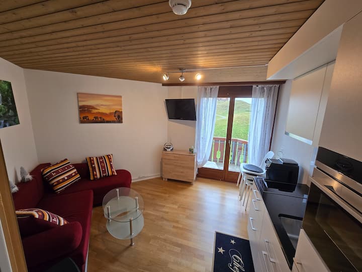 2-zimmer-ferienwohnung Im Stoos - Schwyz