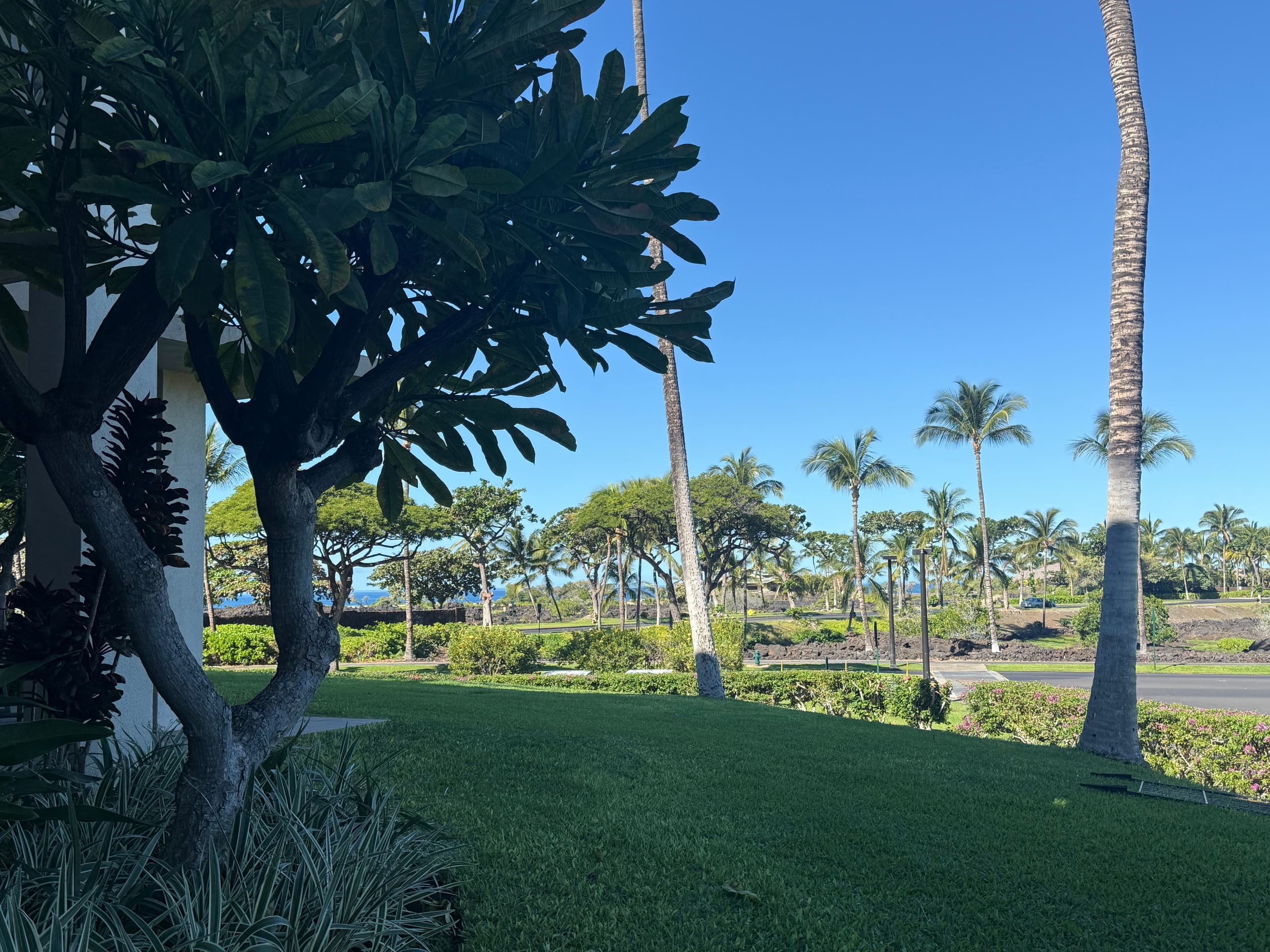 NEW! Mural w Ocean views. Walk to beach & Hilton - Image 61