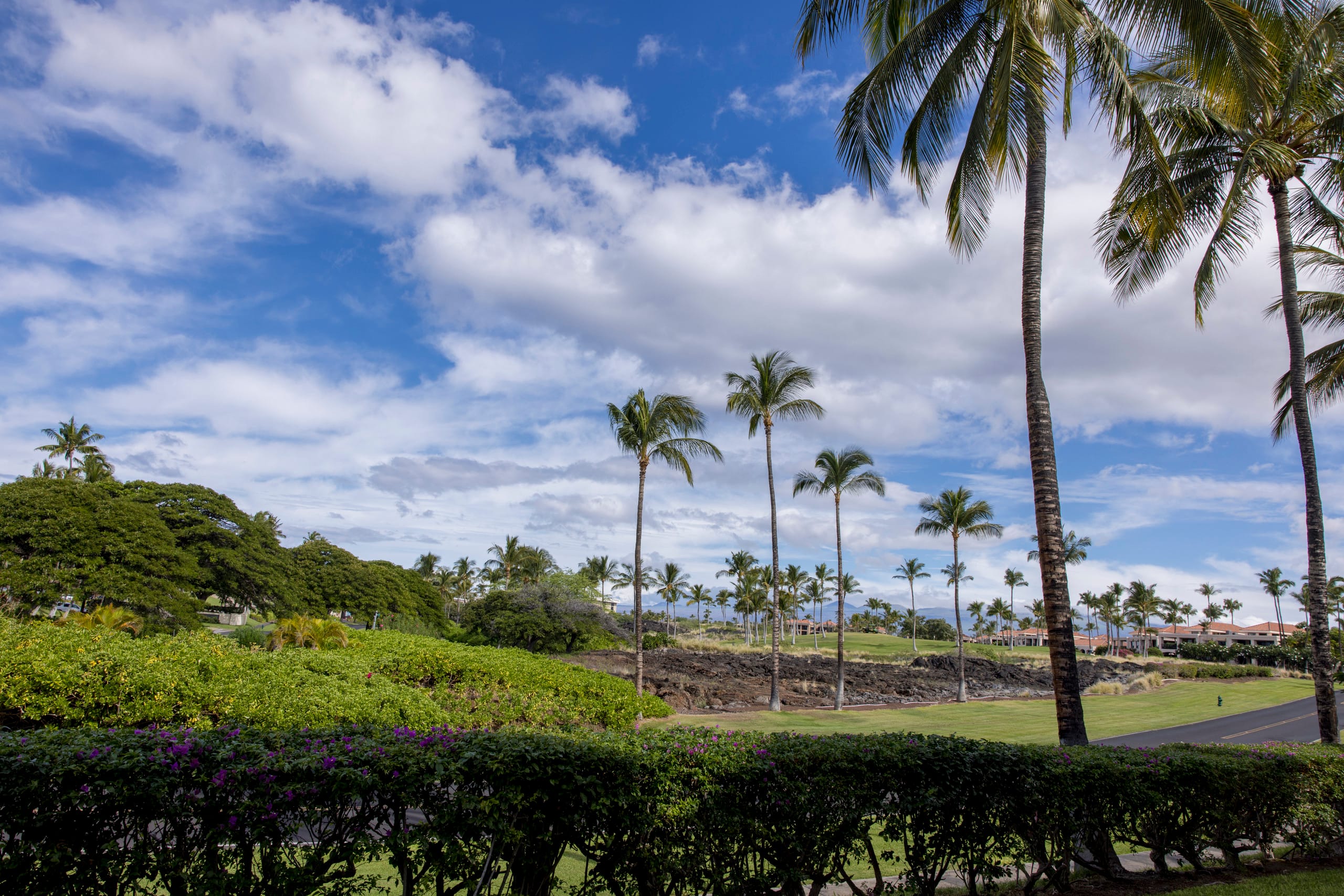 NEW! Mural w Ocean views. Walk to beach & Hilton - Image 63