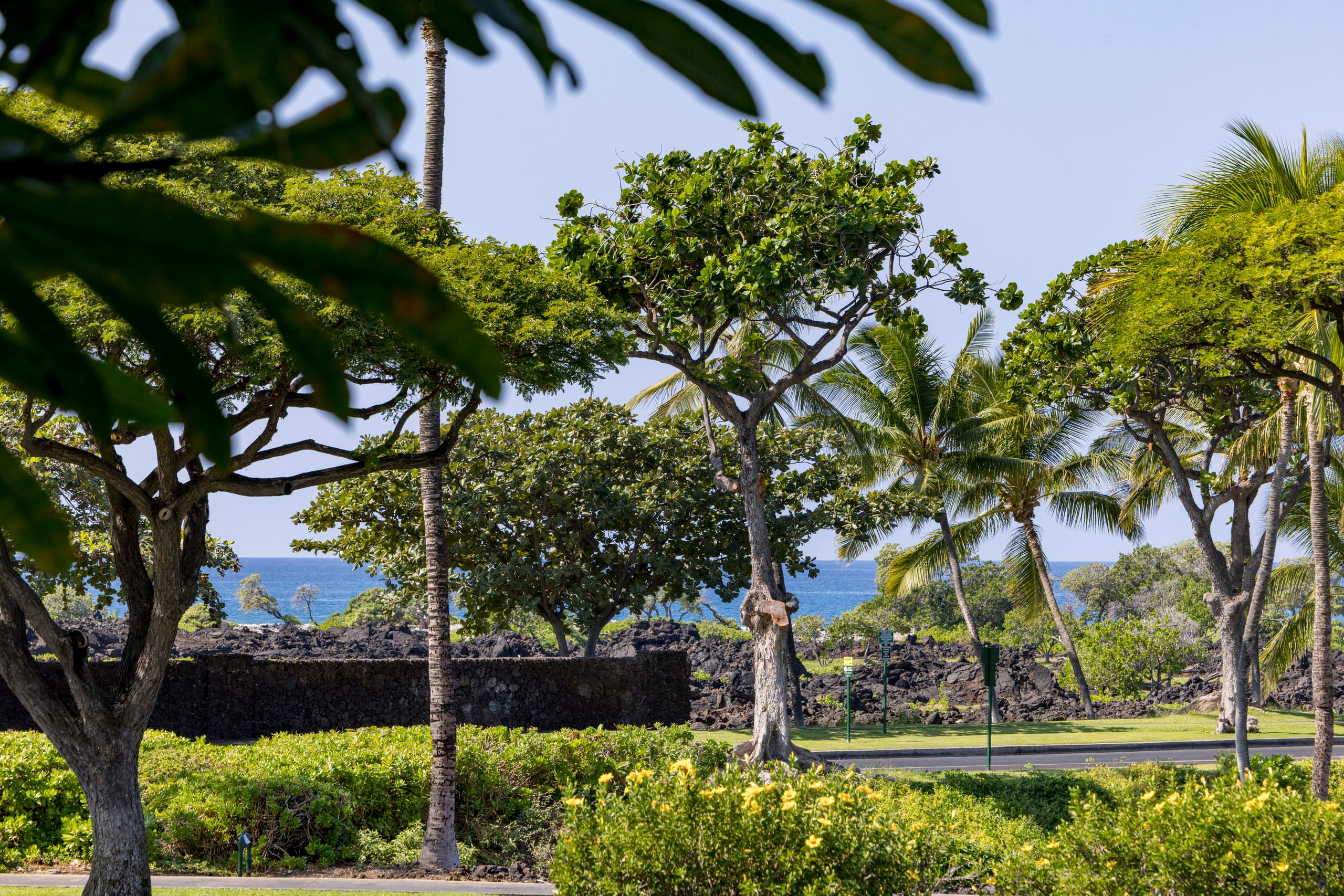 NEW! Mural w Ocean views. Walk to beach & Hilton - Image 25