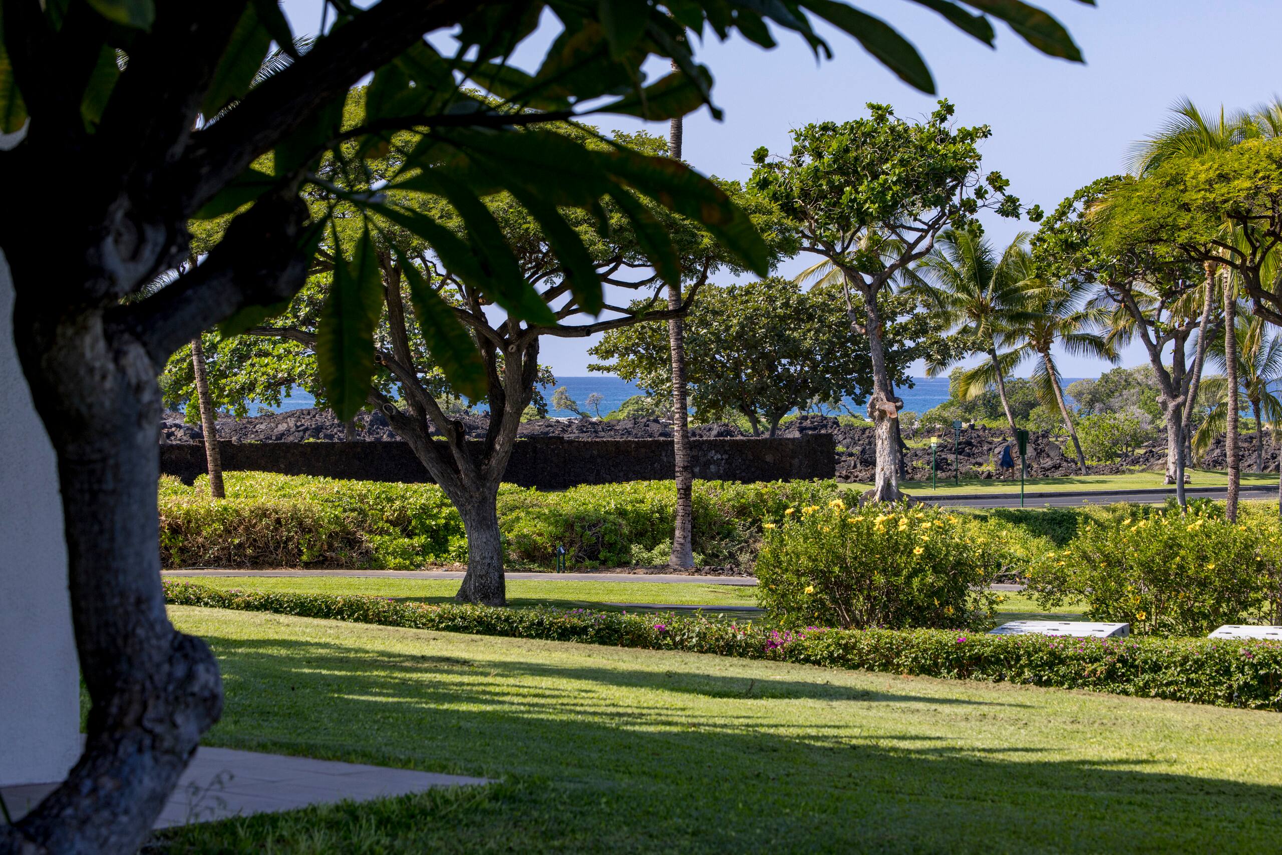 NEW! Mural w Ocean views. Walk to beach & Hilton - Image 26