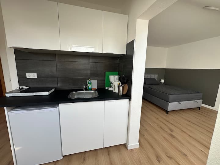 Modernisierte Wohnung Am Rheinauer See - Mannheim
