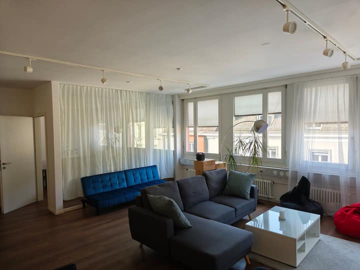 Loft In Downtown Zurich - Zürich