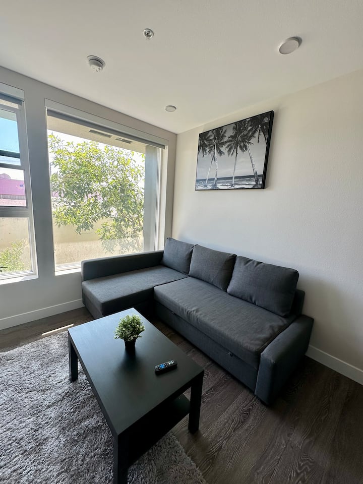 2 Bd 2bath~ Free Parking Gym Pool Jacuzzi - Los Angeles, CA