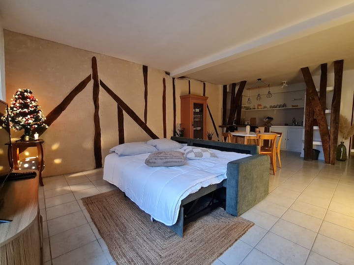Appartement "Beffroi" - Revel