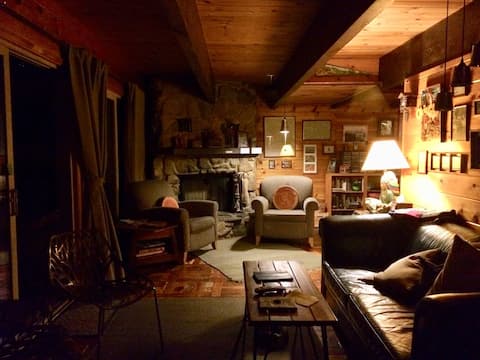 Successful Airbnb property: Cozy Pine Mountain Club Cabin in Pine Mountain Club
