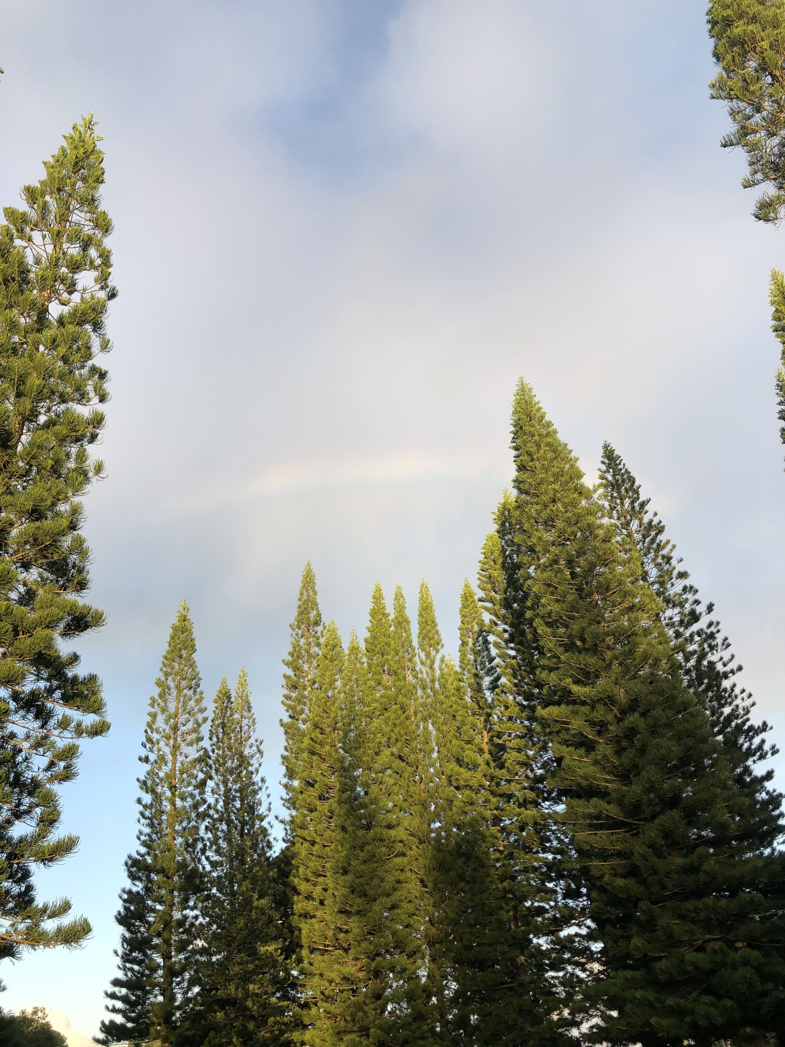 Home in Princeville · ★5.0 · 3 bedrooms · 3 beds · 3 baths - Image 26