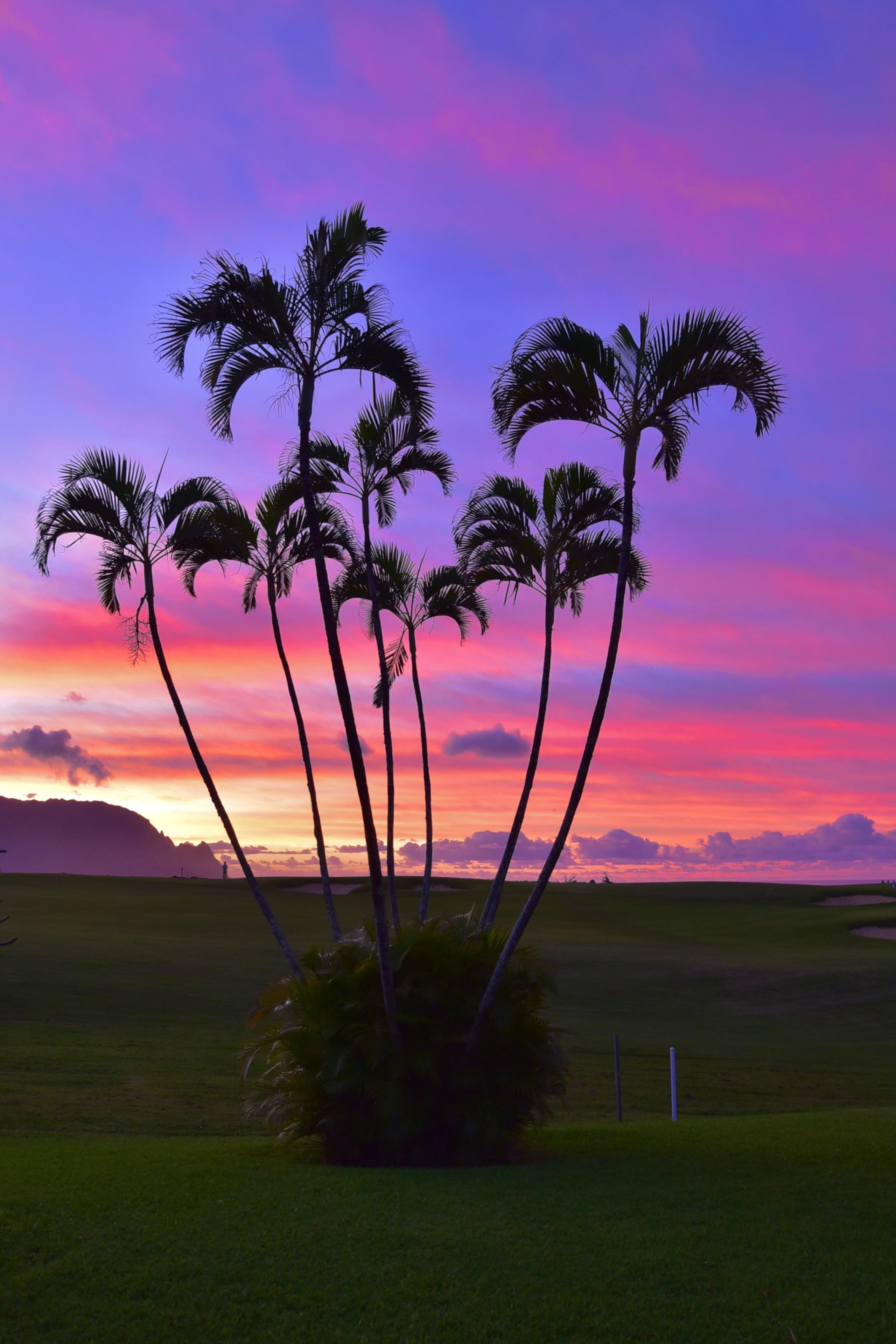 Home in Princeville · ★5.0 · 3 bedrooms · 3 beds · 3 baths - Image 16