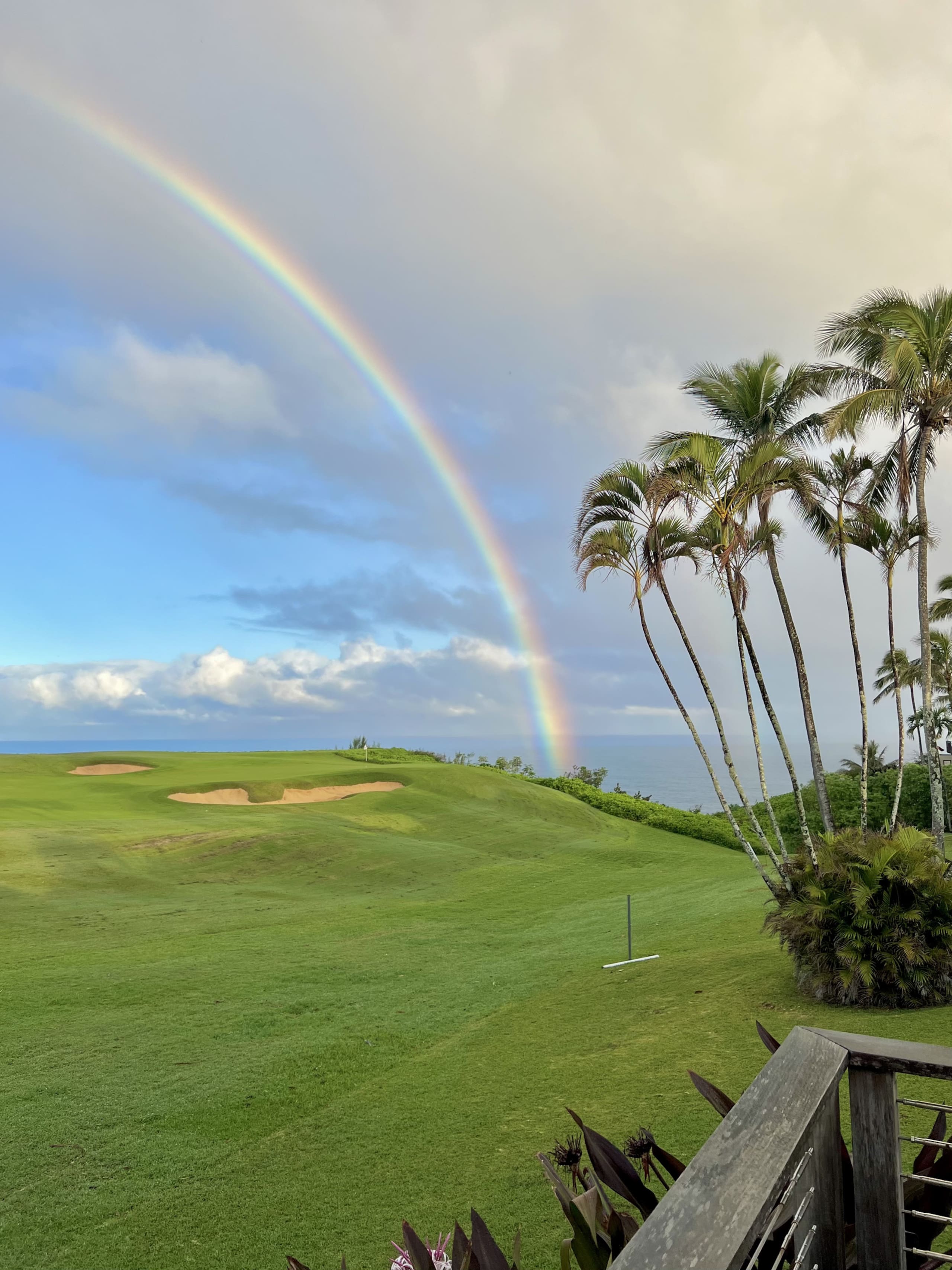 Home in Princeville · ★5.0 · 3 bedrooms · 3 beds · 3 baths - Image 41